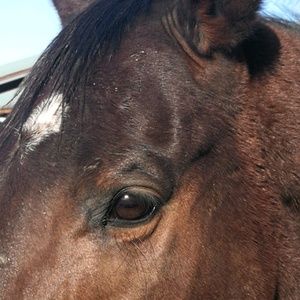 Meet your Posher, Kathi